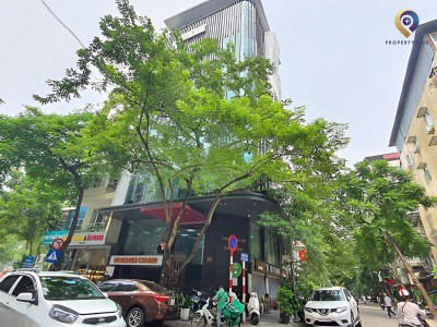 Tòa Nhà 30 Nguyên Hồng