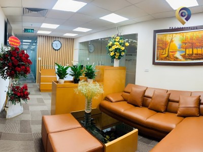 Green Office 3D