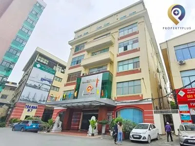 Gold Star Thái Sơn